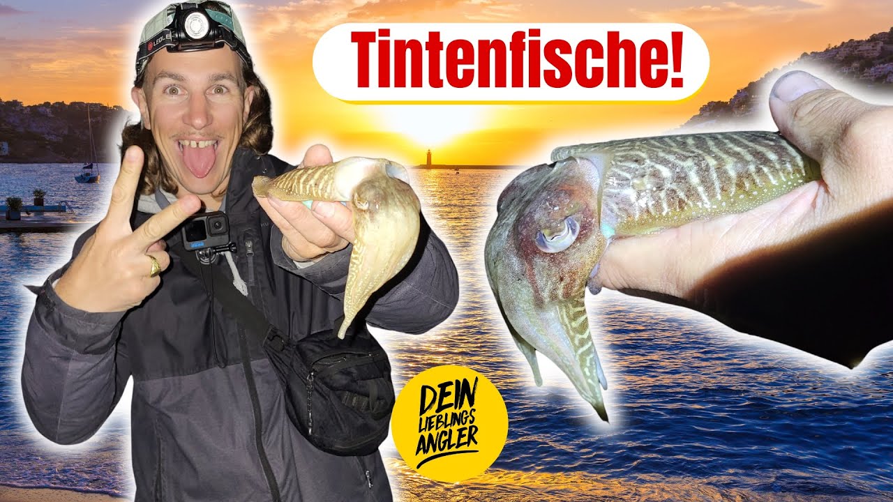 ERFOLGREICH auf TINTENFISCH am MITTELMEER (Mallorca) - SO F&Auml;NGT MAN ZU 99%!