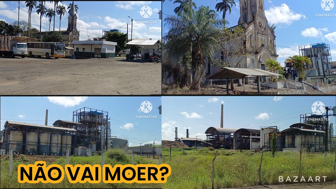 USINA ESTRELIANA, COAFSUL, EM  PERNAMBUCO .