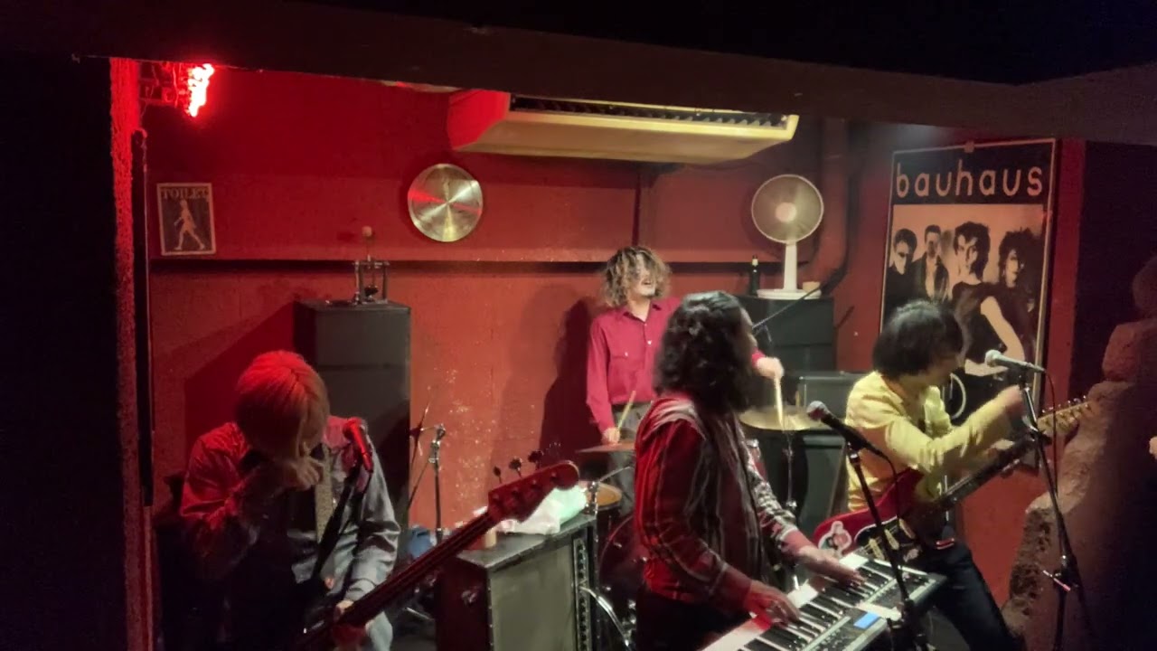 THE BLACK DOLPHINS 2024/05/11@岐阜kingbiscuit