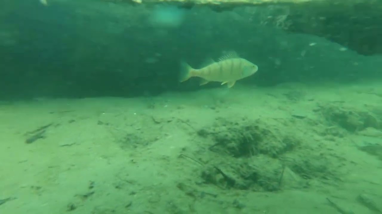 Dorog b&aacute;ny&aacute;t&oacute; mer&uuml;l&eacute;s #dive #tusa #uef  #diver #hungary  #tours #goprohero7black