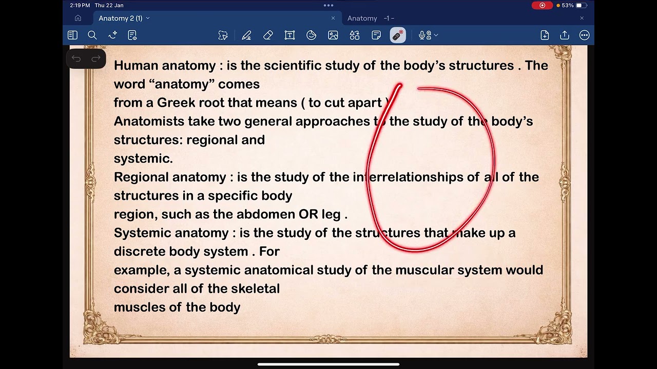 Anatomy : introduction, p1