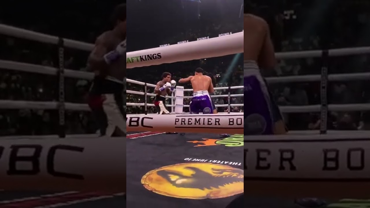 Tank Davis KO&rsquo;s Rolly Romero