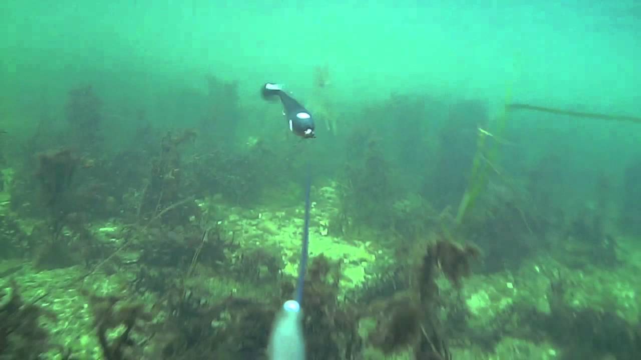 Water Wolf Camera McRubber