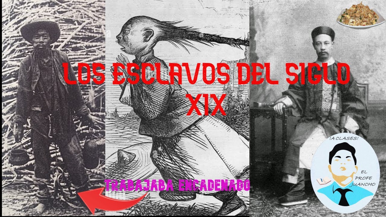 LA TRISTE HISTORIA DE LOS CHINOS CULIES EN EL PERU