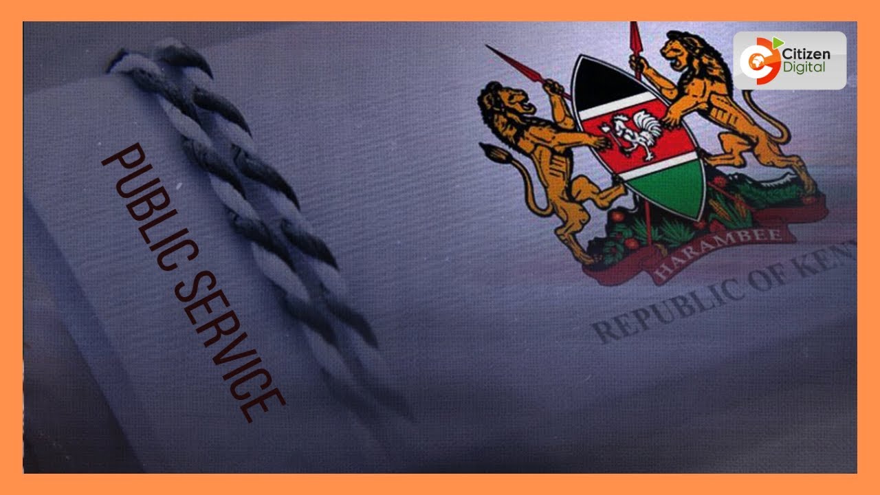 PUBLIC ACCOUNTING | PSASB launches five-year strategic plan