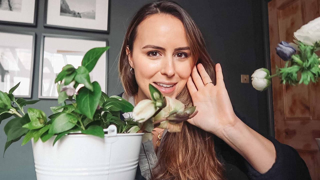 DECORATING FOR SPRING | Laura Melhuish-Sprague