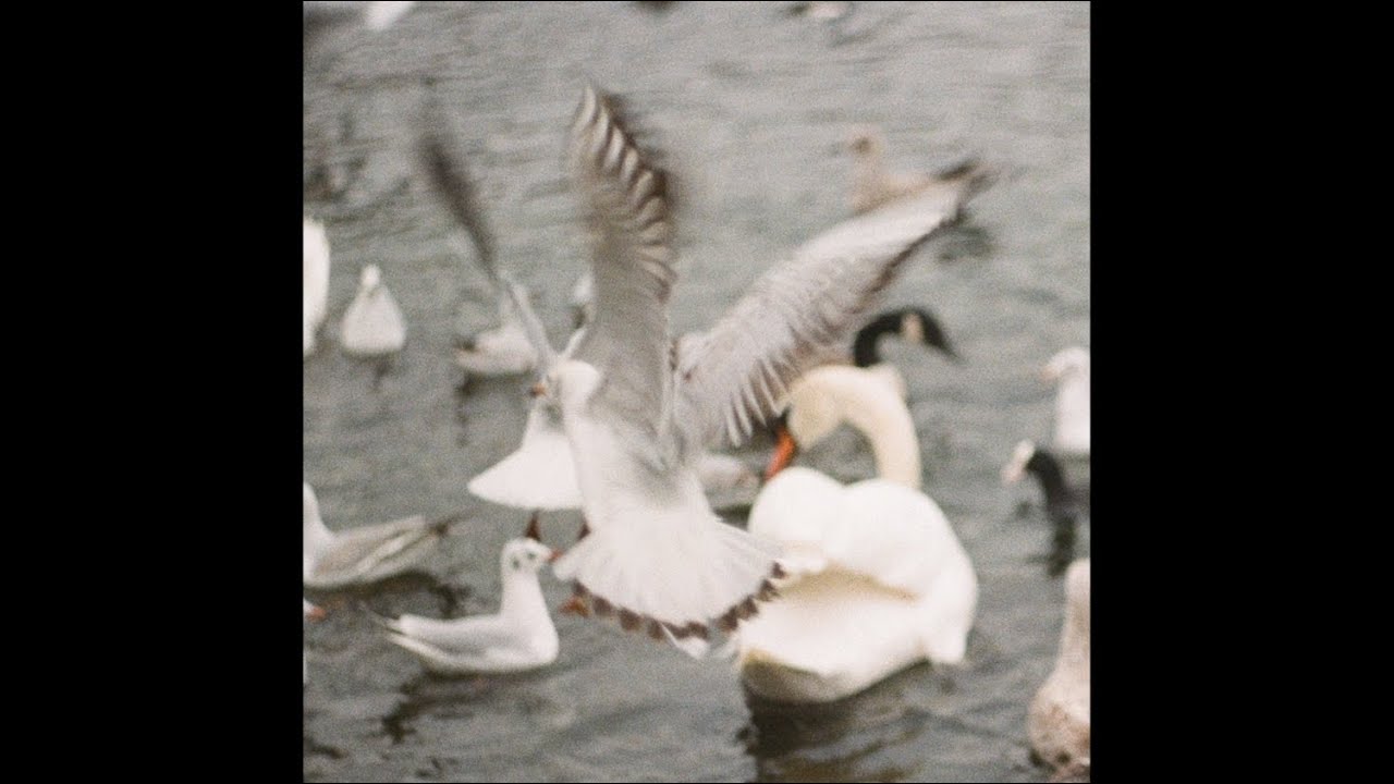 Sea Oleena ~ On Possession