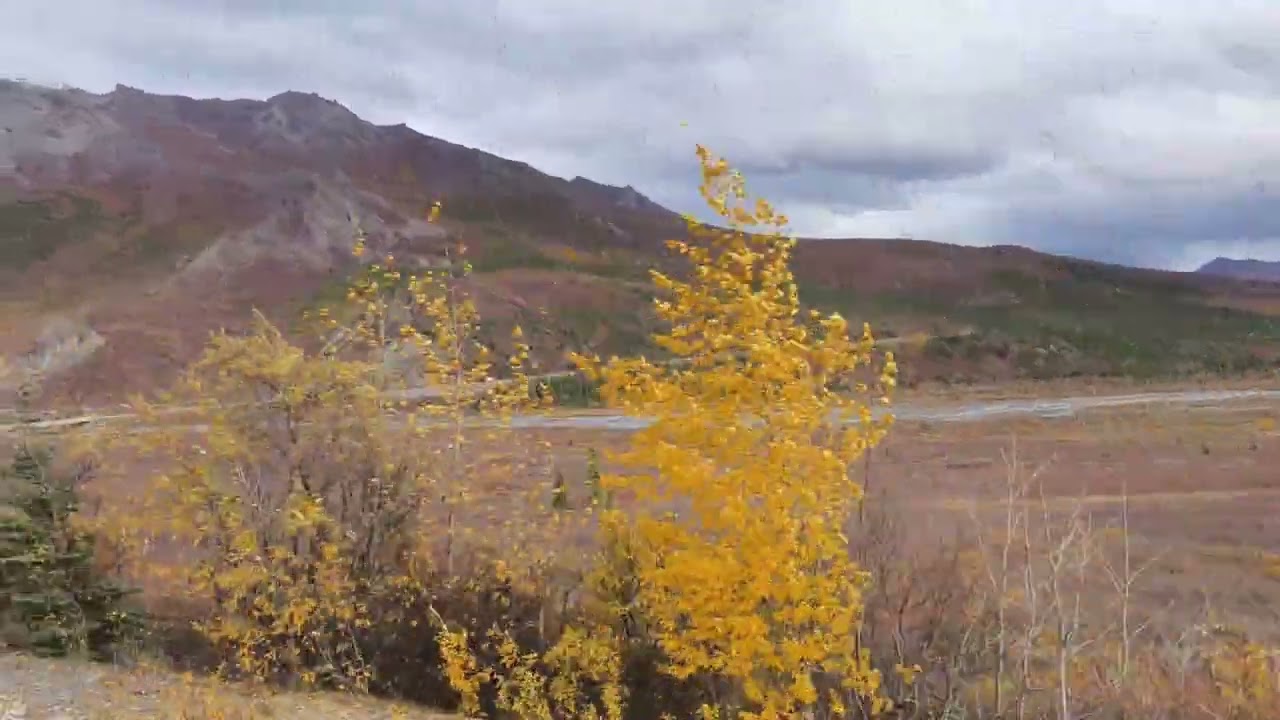 Denali National Park 2024年9月14日
