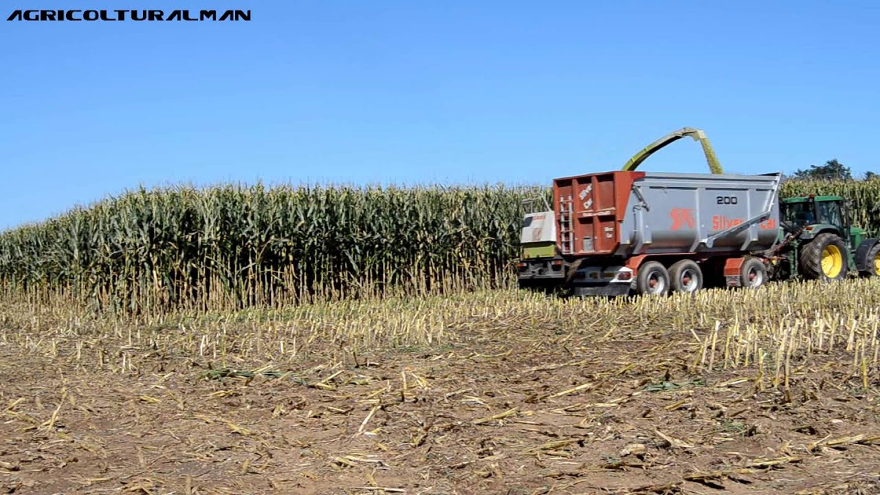 INSILATO MAIS 2014, CLAAS JAGUAR 880.