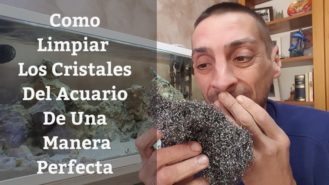 🔵 Como Limpiar Los Cristales Del Acuario O La Pecera De Una Manera Perfecta (Acuarios MB)