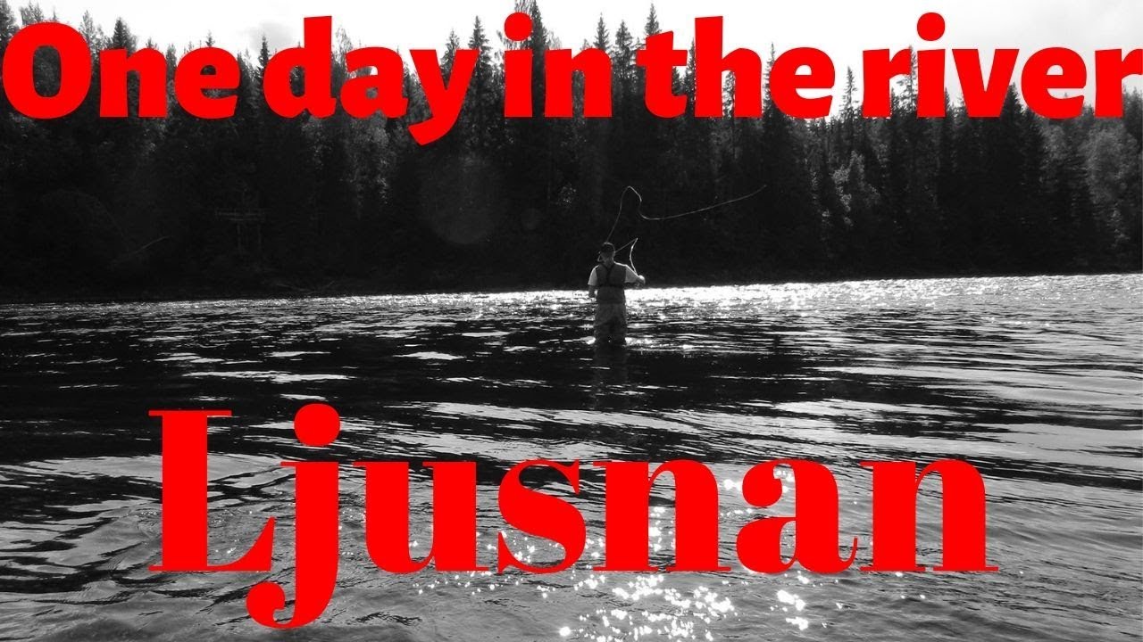 Fishing in River ljusnan