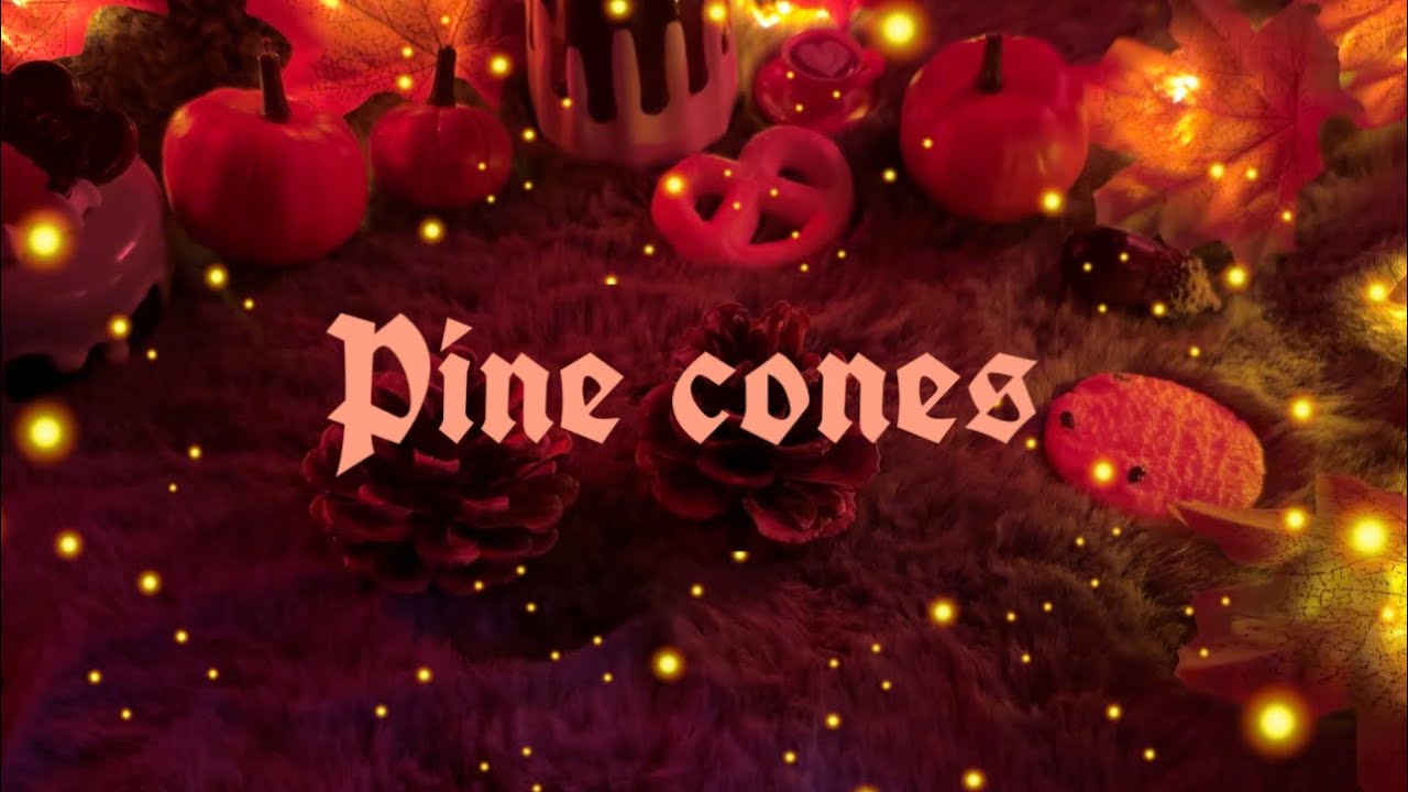 Pine cones Asmr &hearts;︎Relaxing &hearts;︎ No talking &hearts;︎