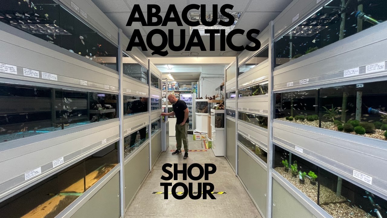 ЭКСКУРСИЯ В РЫБНЫЙ МАГАЗИН ABACAS AQUATICS SIDCUP