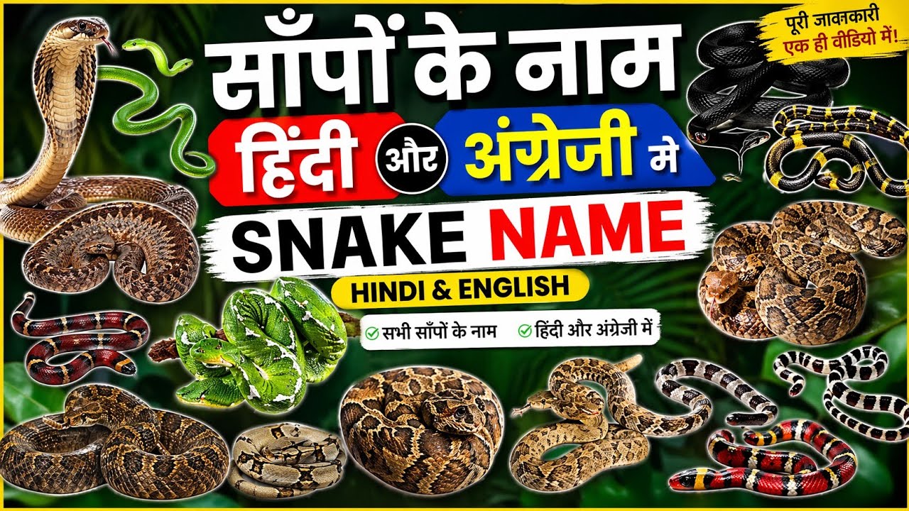Snake name Hindi and English| सांपों के नाम हिंदी और अंग्रेजी में।