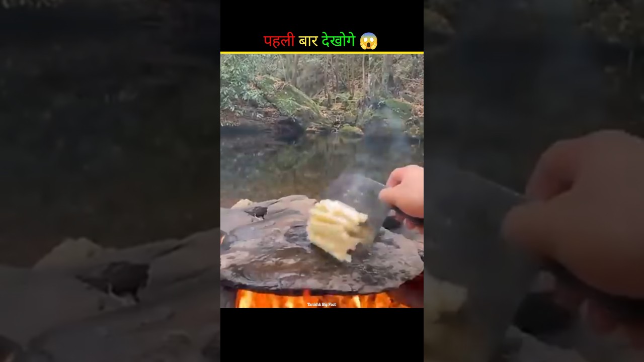 Jungle Cooking 😱 