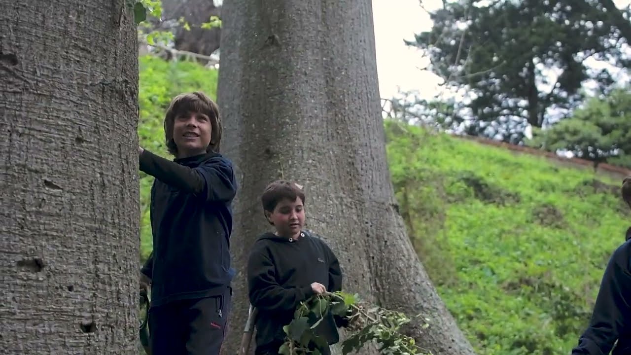 Proyecto Barranca Marín - Colegio Carmen Arriola de Marín