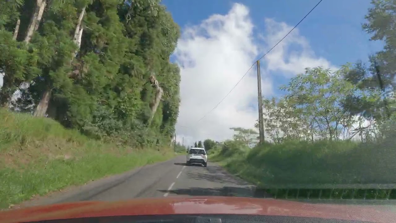 Ile de la Réunion,la Plaine des Cafres, part 17