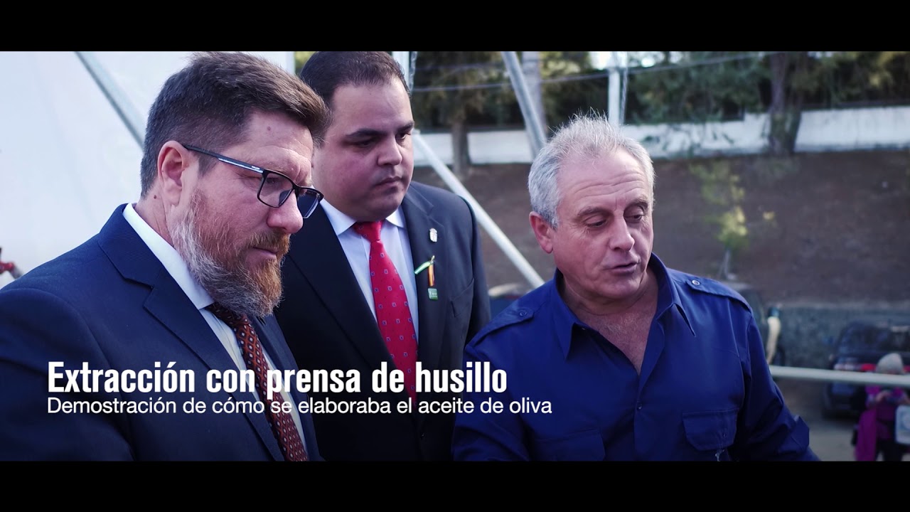 Fiesta de la Aceituna