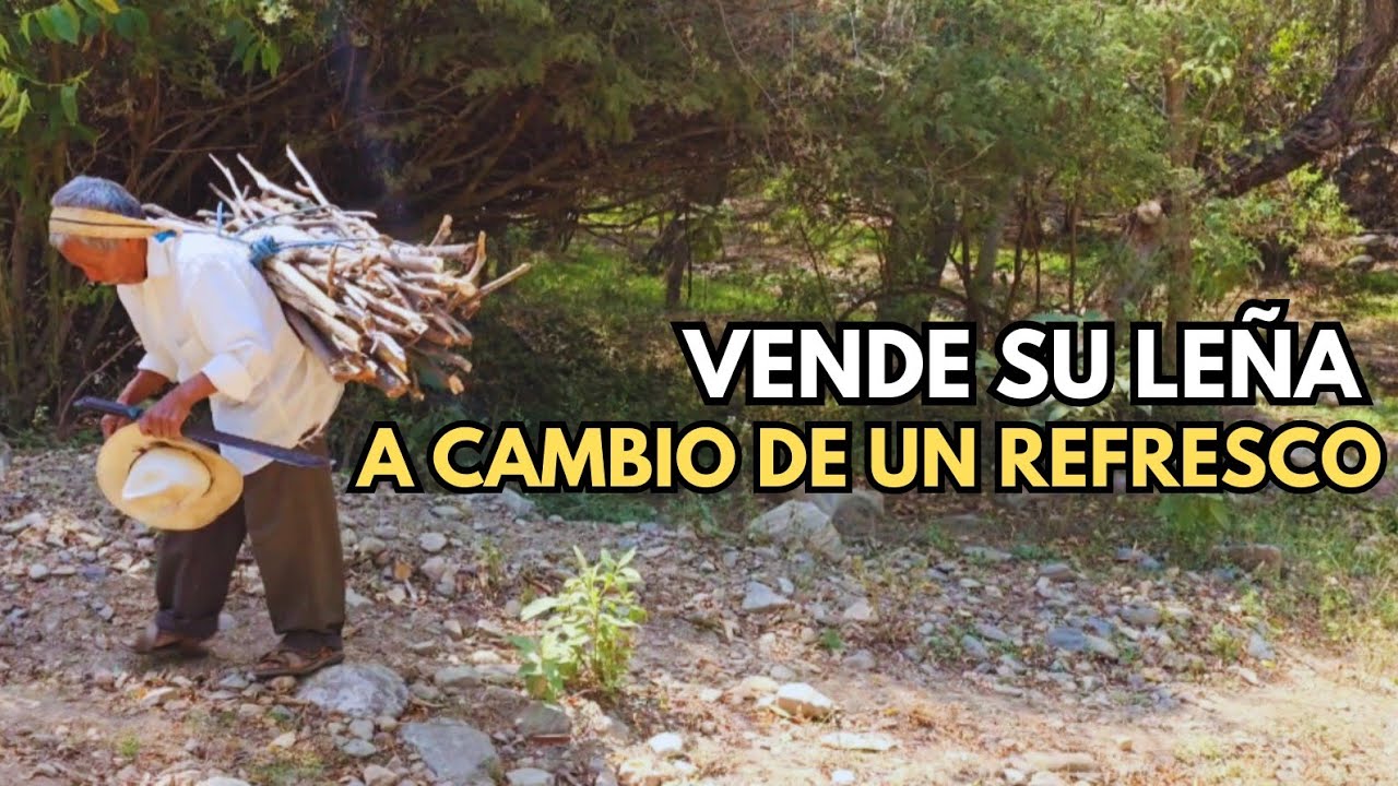 Vende su leña a cambio de un refresco 🥺