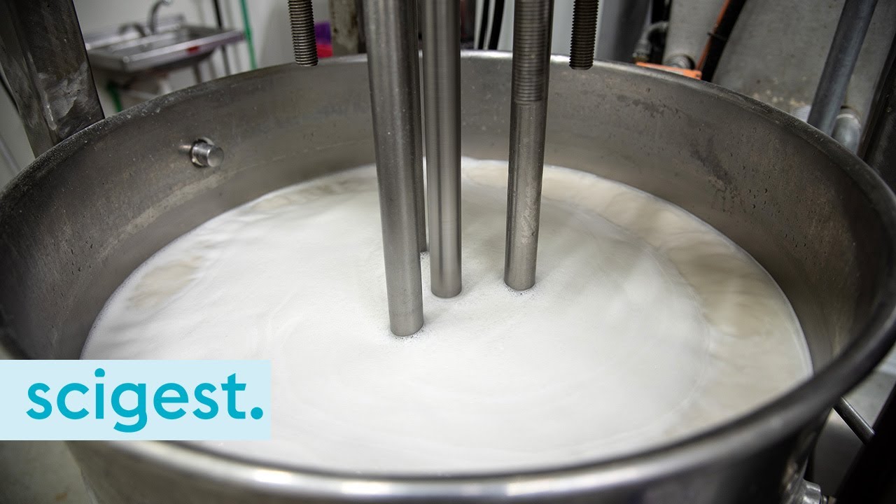 Plant-based yoghurts (SITK podcast series)