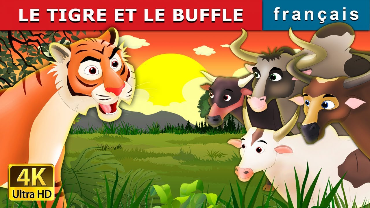 LE TIGRE ET LE BUFFLE | Tiger and Buffaloes in French | Contes De Fées Français |@FrenchFairyTales
