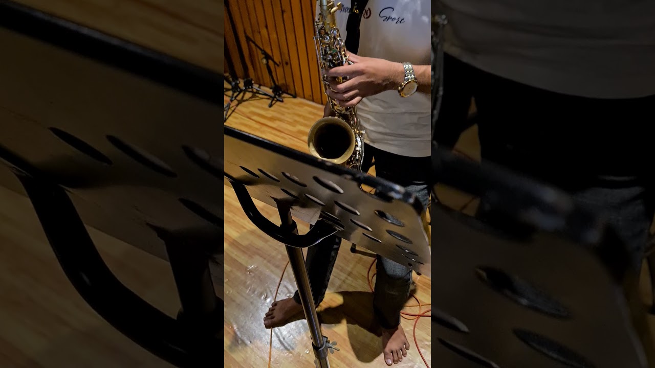 Alto Saxophone Selmer Bundy I (Sample 1)