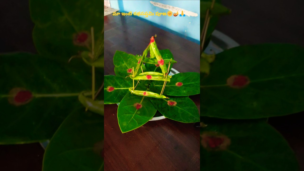 రథసప్తమి పూజ# Rathadapthami pooja