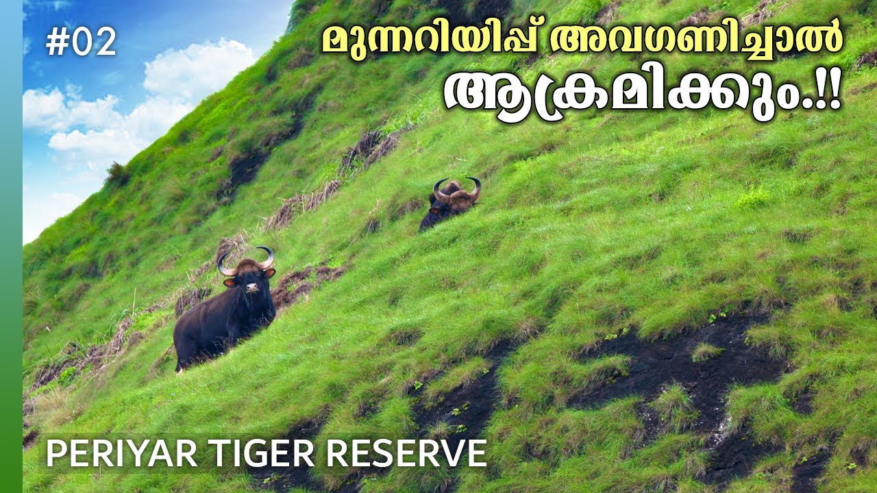 Edapalayam Watch Tower EP2 | Periyar Tiger Reserve | Thekkady tourist places | 4K UHD