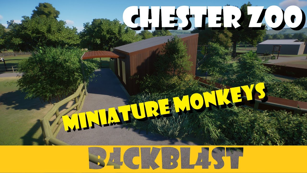 Chester Zoo - Miniature Monkeys in Planet Zoo