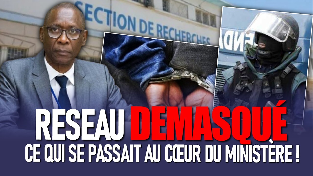 Scandale au ministère : le réseau secret arrêté ! Entre Faux visas et documents