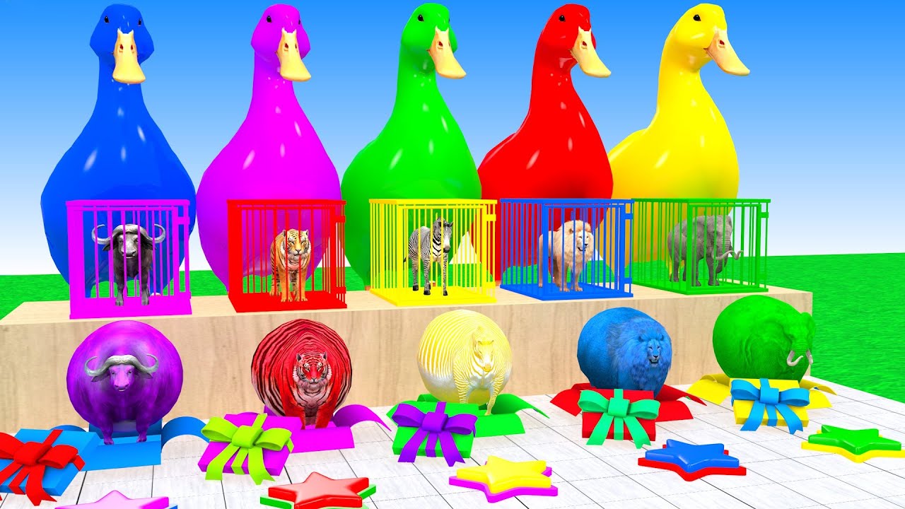Long Slide Game With Elephant Buffalo Tiger Zebra Lion Hippopotamus 3d Animal Game Funny 3d Animals