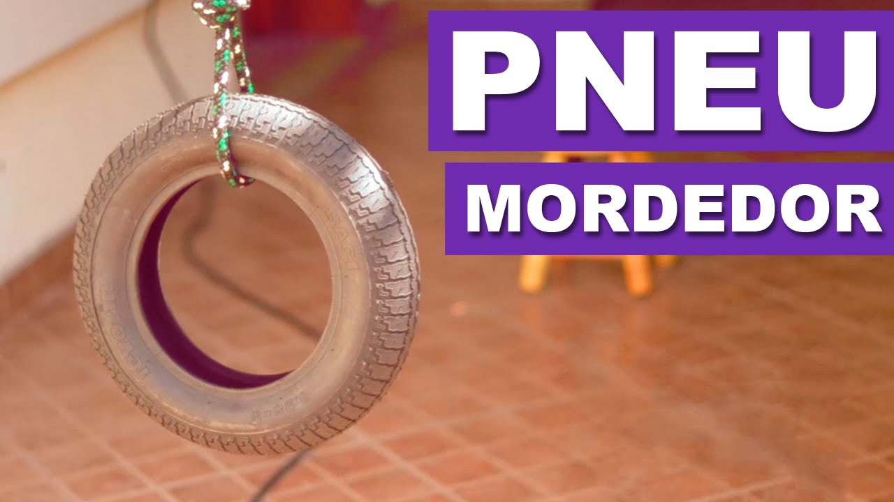 Como fazer um Pneu Mordedor - Quatro Patas Mão na Massa!