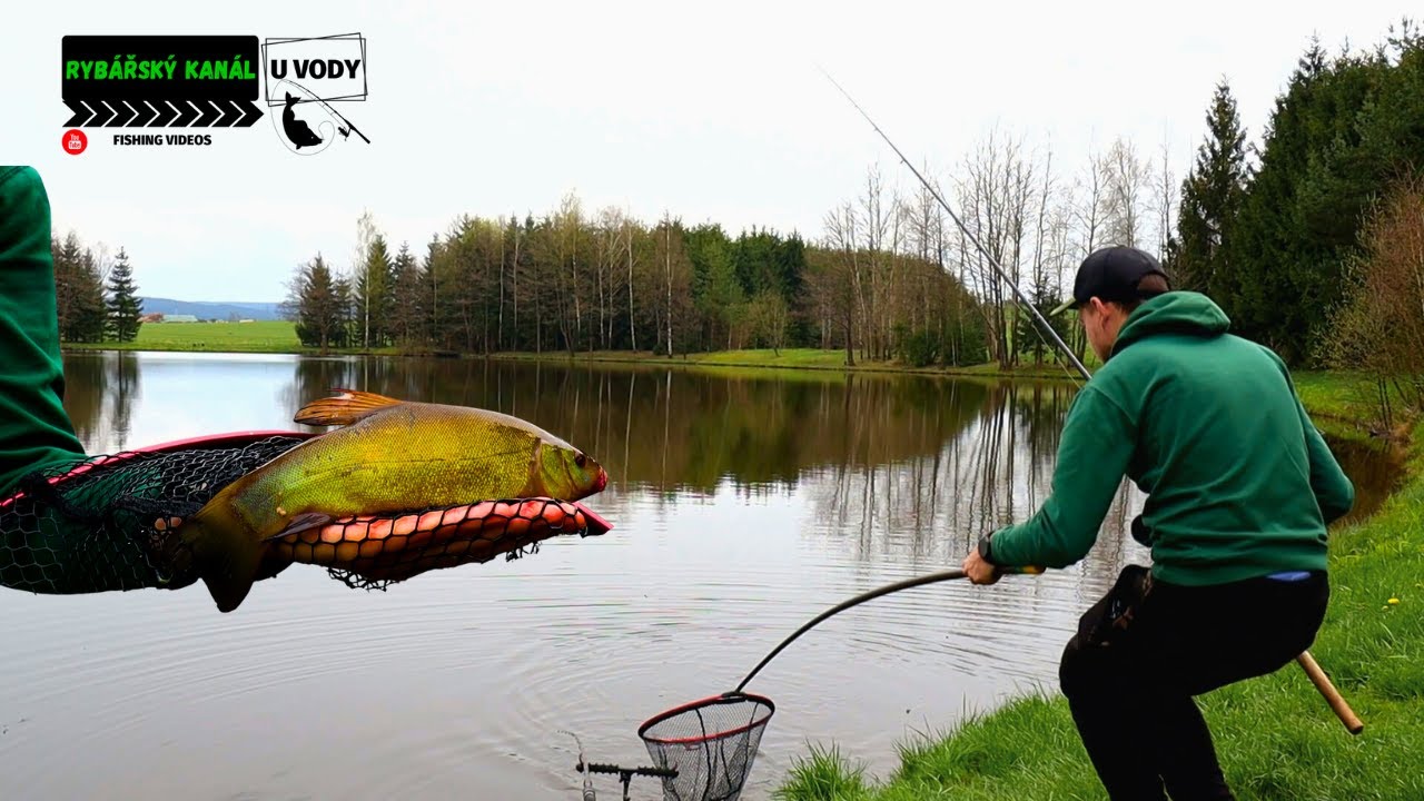 Jak rychle na líny s method krmítkem? Přišel i krásný double 100% skóre.