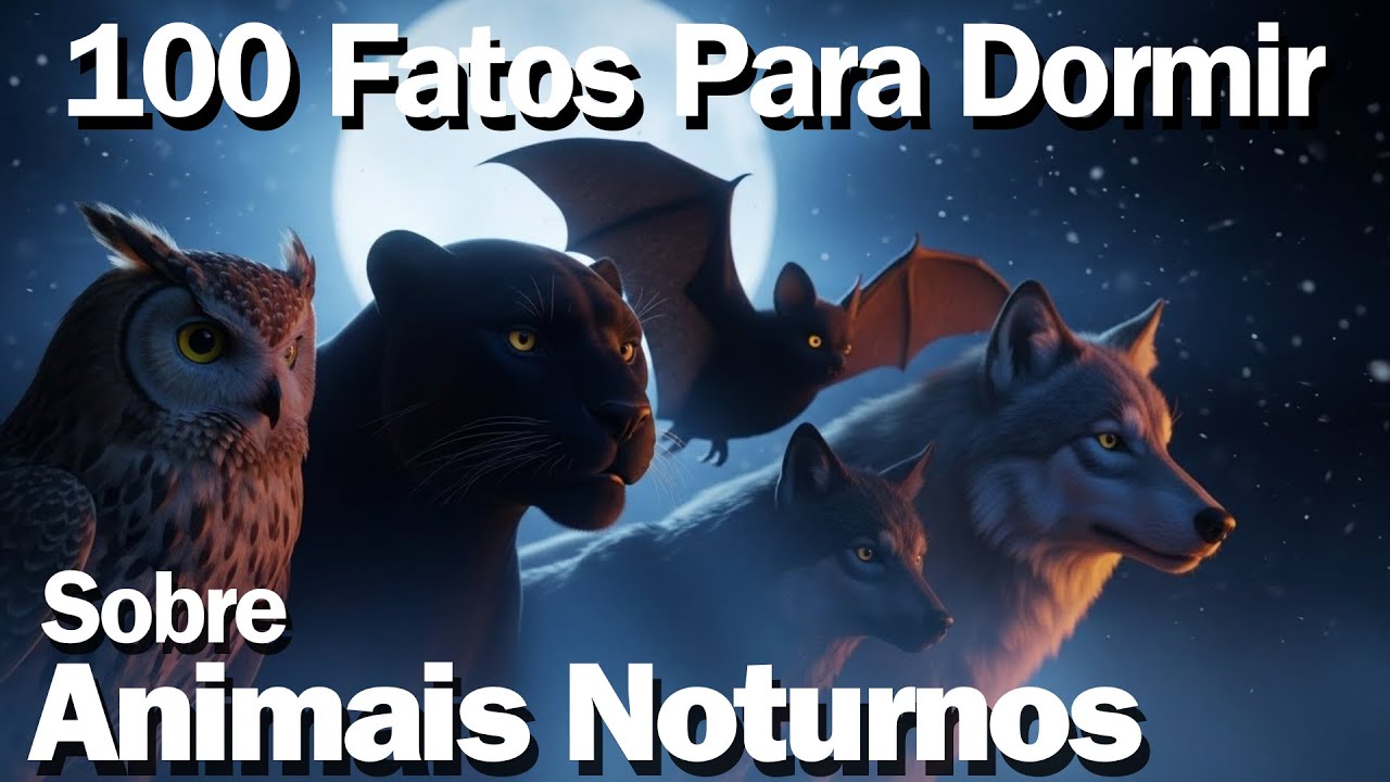 2 Horas de Fatos Sobre Animais Noturnos Para Dormir Tranquilo