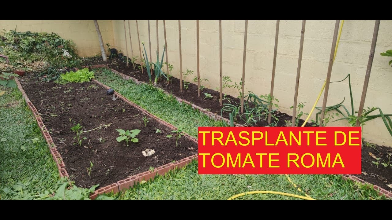 COMO PREPARAR EL SUELO PARA TOMATES Y PIMIENTOS
