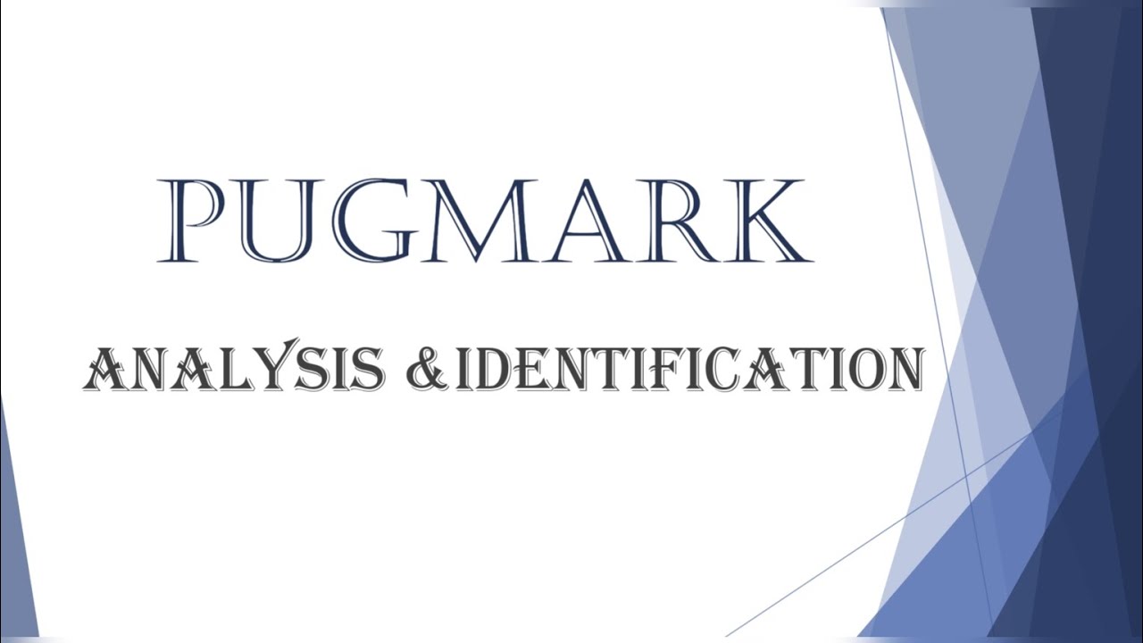 Pugmark identification techniques|| Forensic wildlife|| Wildlife tracking using pugmarks