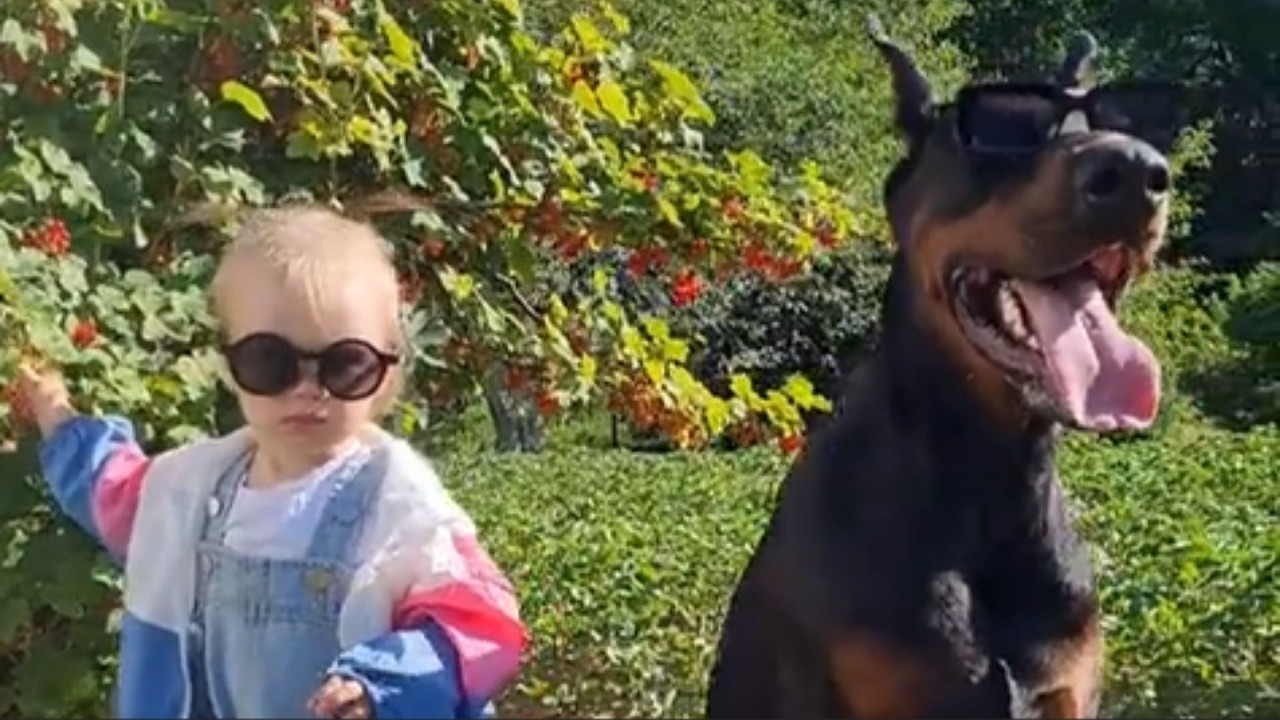 Doberman Llora Al Conocer Por Primera Vez A Su Hermana Bebé😭💕