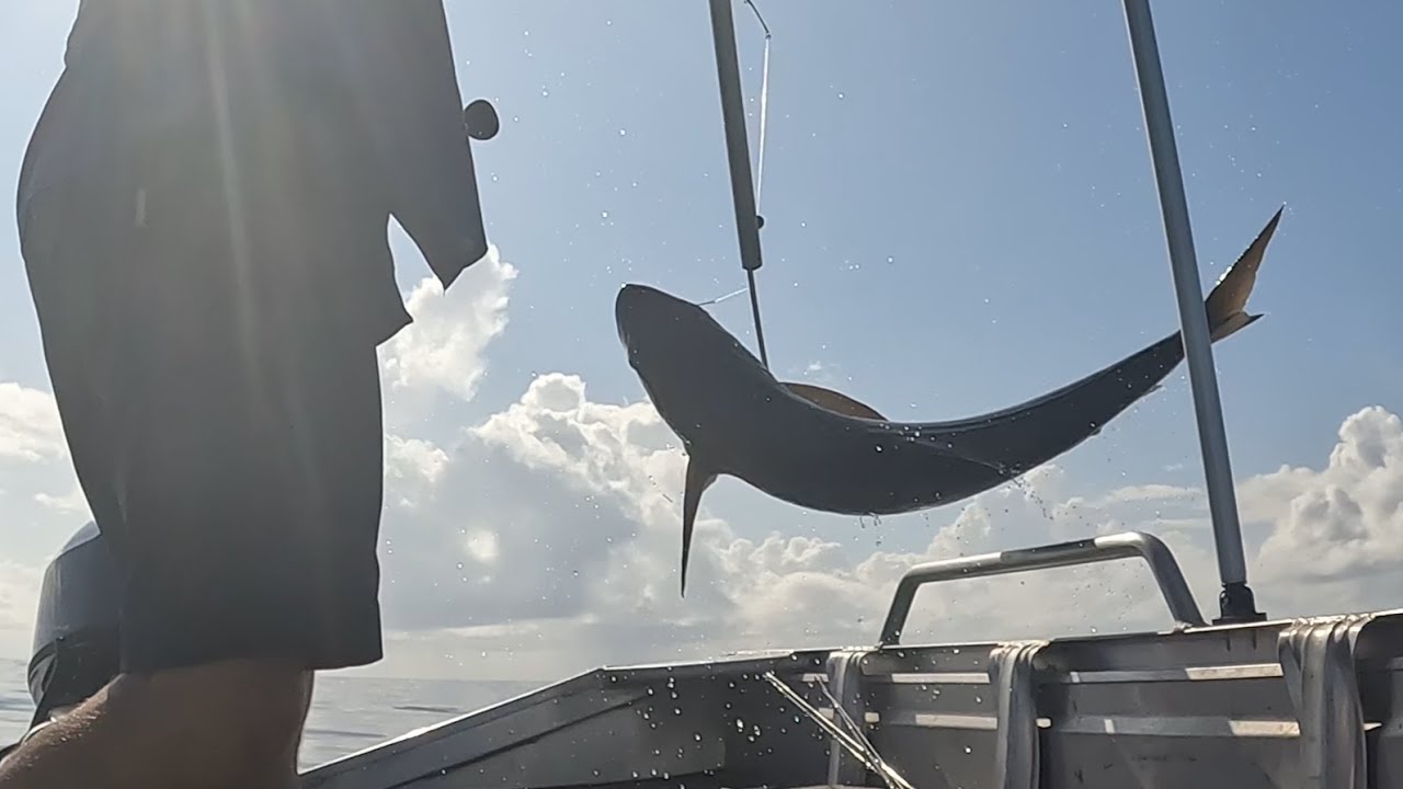 CATCHING LOTS OF FISH | Perfect weather | Catch and Cook