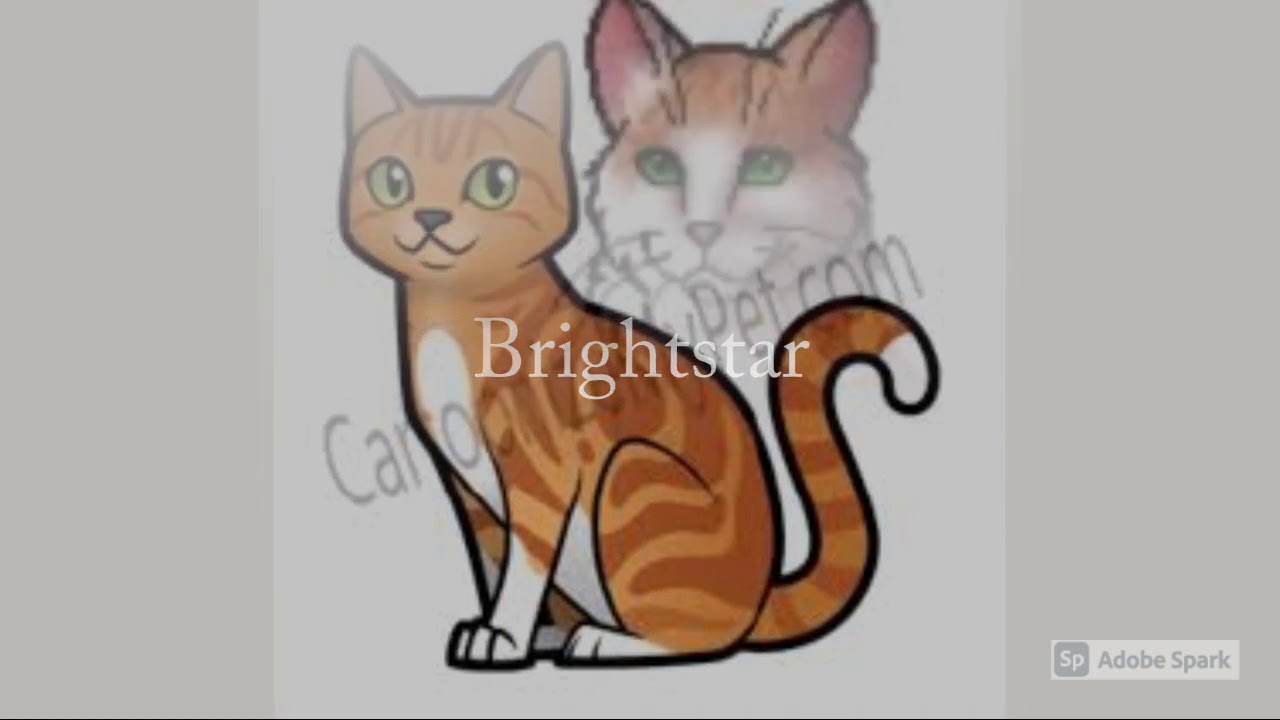All Leaders of ShadowClan (In Order)