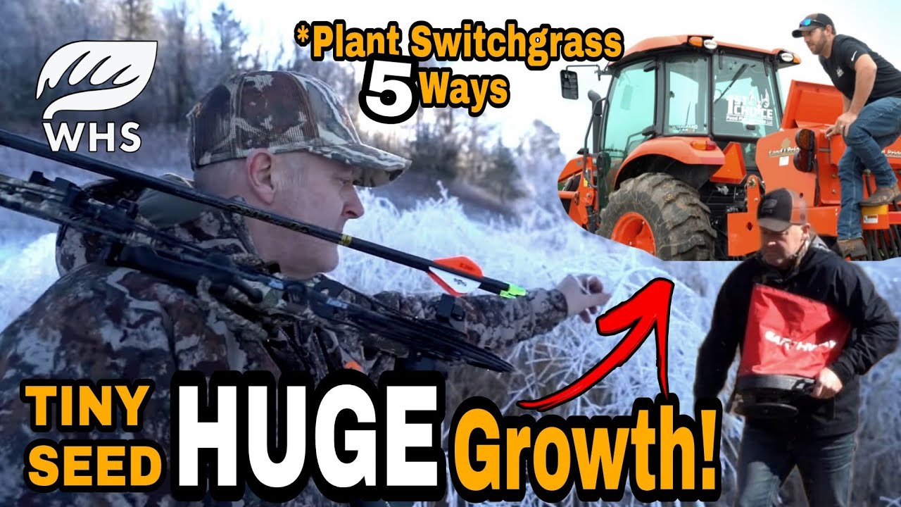 5 Switchgrass Planting Methods