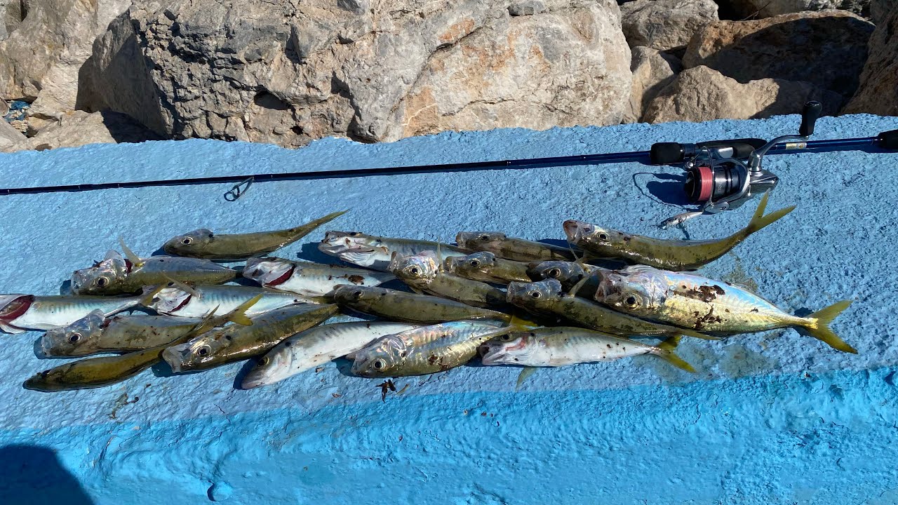 Η θάλασσα βράζει από κοκκαλια!!!!Lrf fishing in Greece
