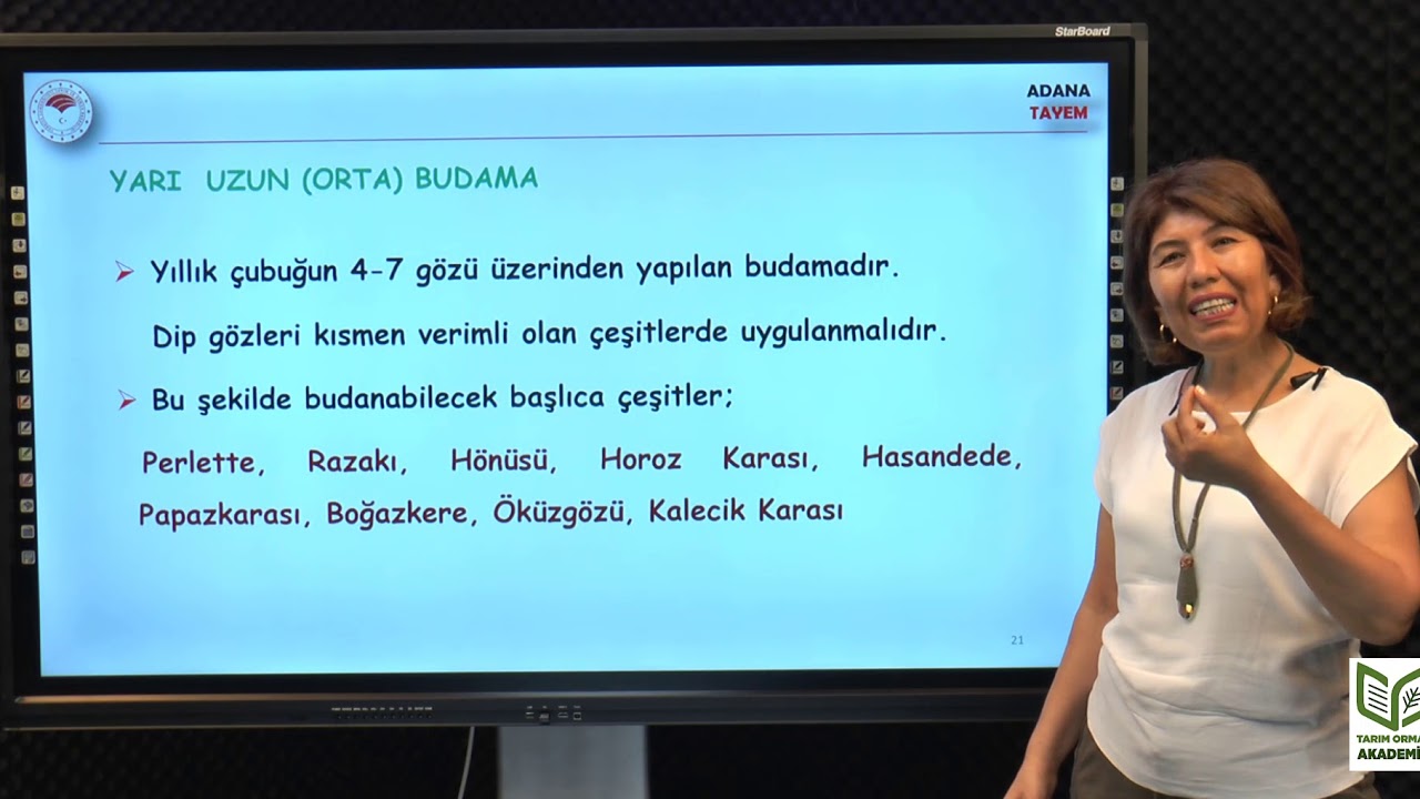 Bağlarda Kış Budaması - Prof.Dr.Serpil TANGOLAR - Adanatayem