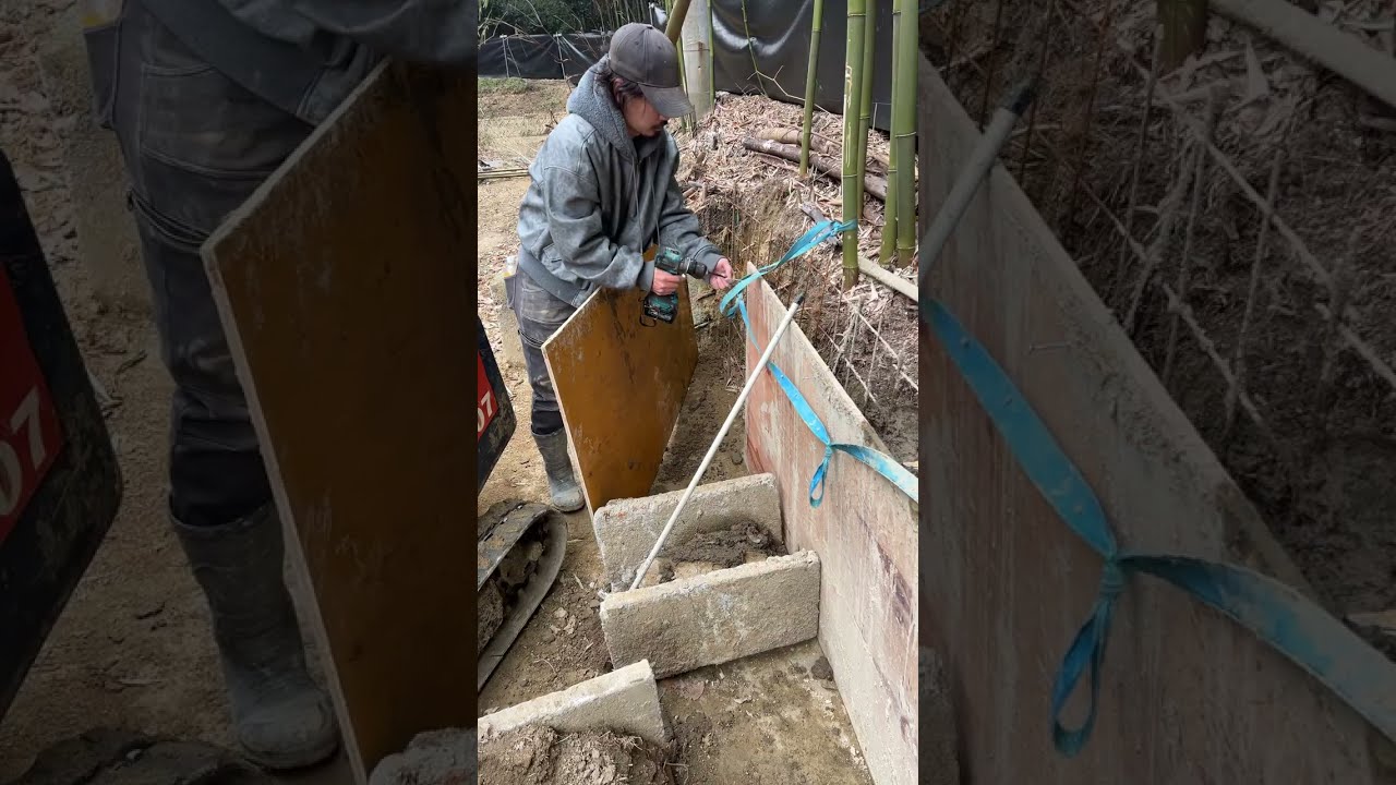 Live: Battle of the Backyard: Excavator vs Nature #97 | God of Ruin akkiro0m