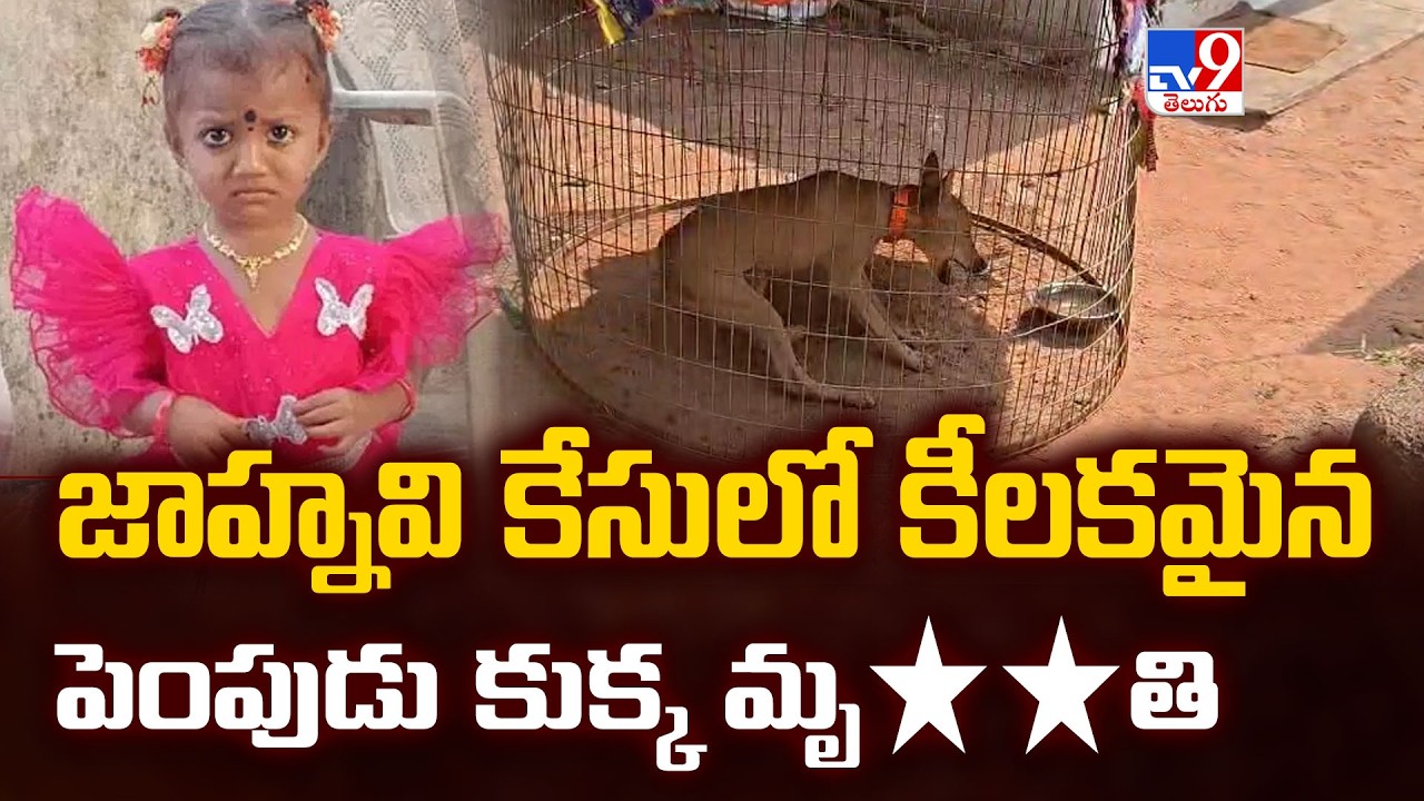 Kakinada Jahnavi Missing Case Updates: జాహ్నవి కేసులో కీలకమైన పెంపుడు కుక్క మృ**తి | Five @ 5 - TV9