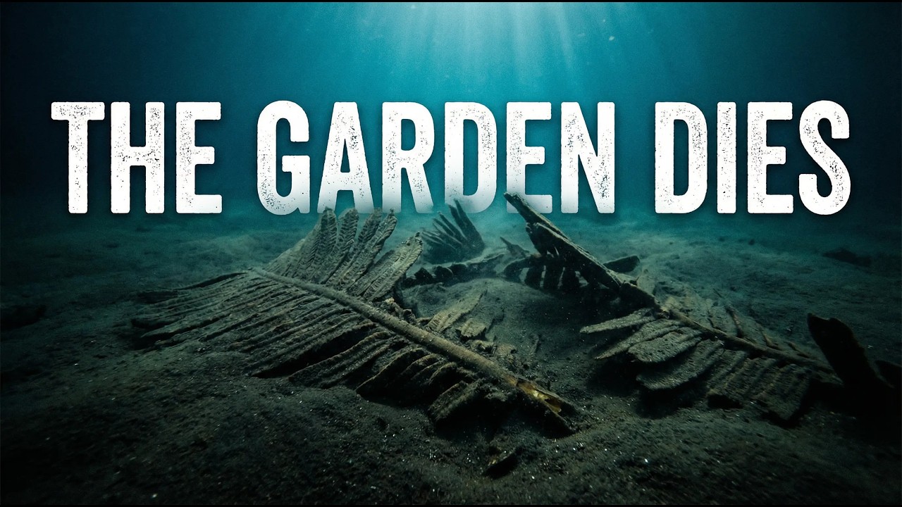 The First Predators: How Violence Shaped the Future of Life