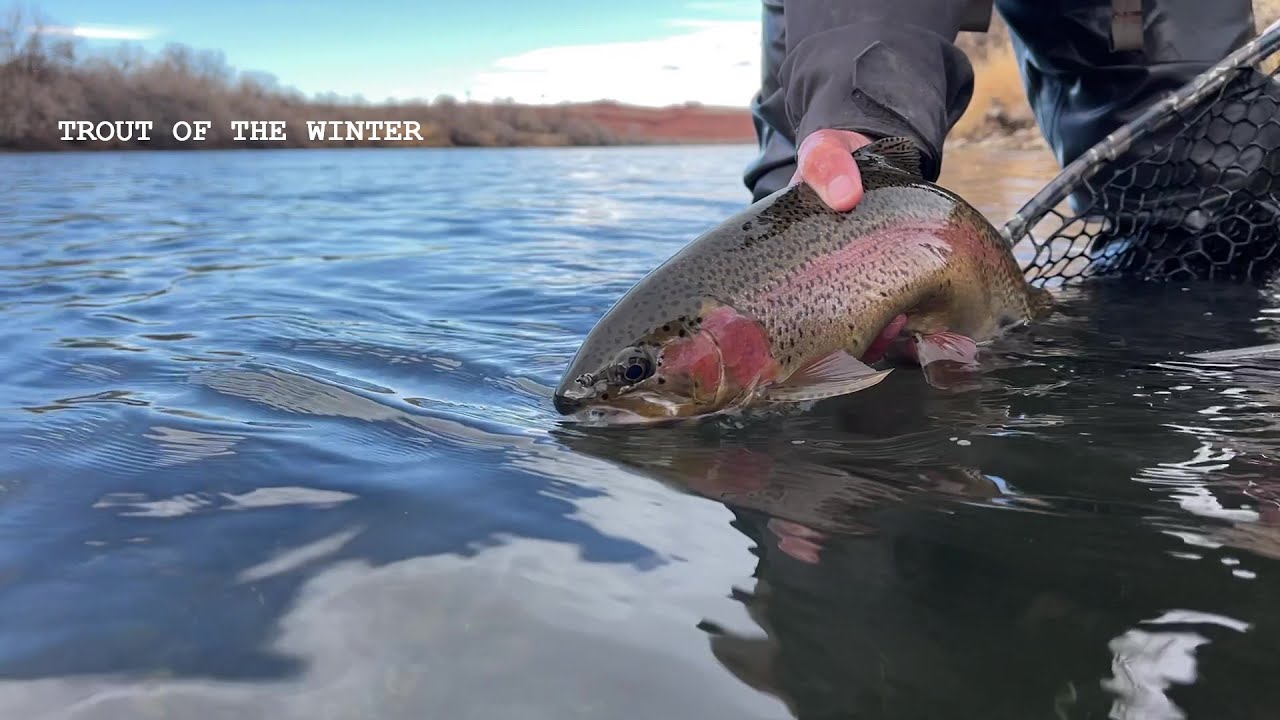 Fly Fishing Wyoming Wind River