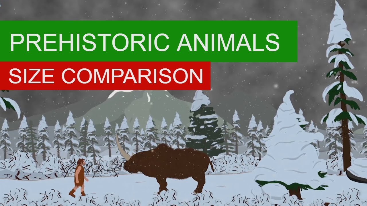 PREHISTORIC EXTINCT ANIMALS Size Comparison