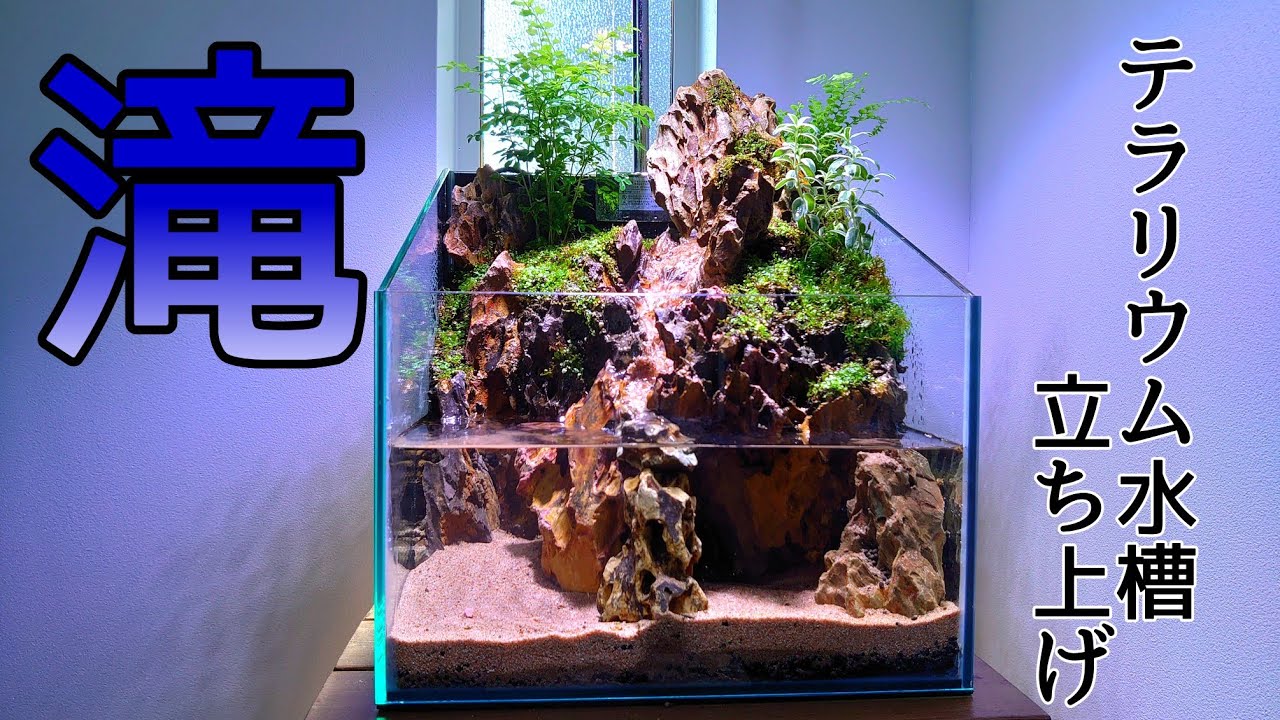 【滝のあるテラリウム水槽を作る】I want to make an aquarium with a waterfall  石組みテラリウム水槽   気孔石レイアウト
