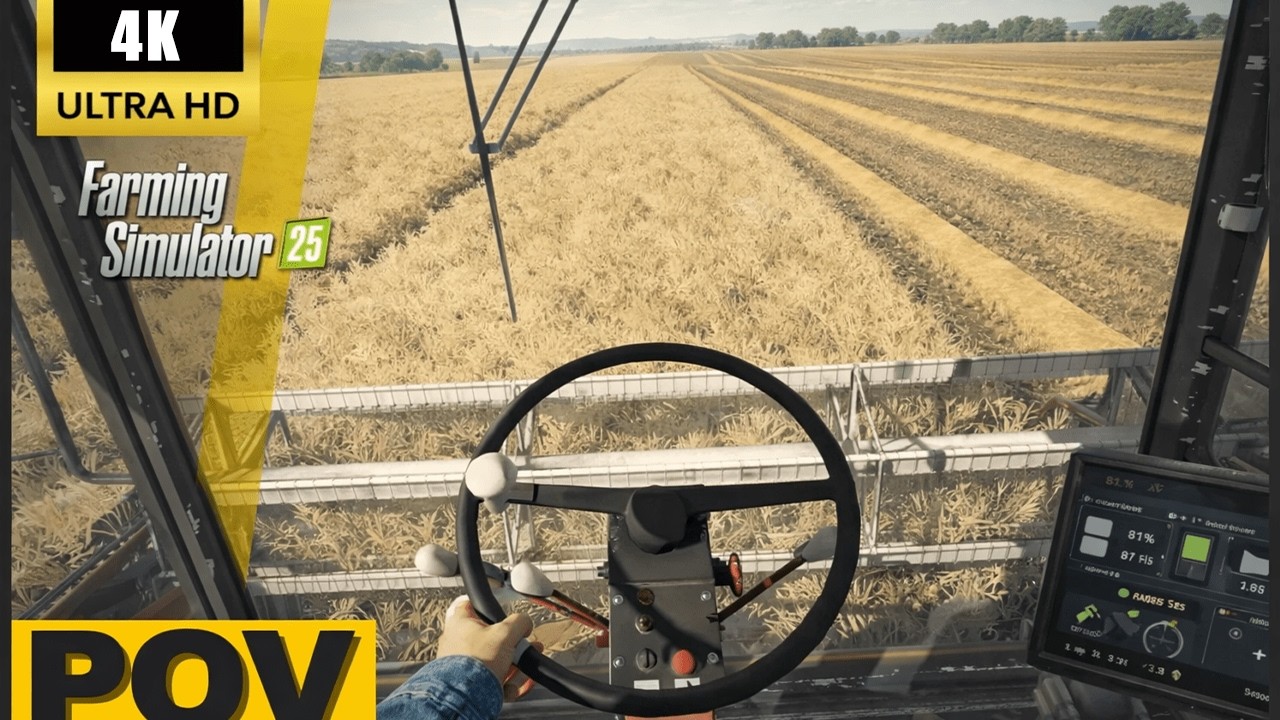 FS25 POV | Bizon Gigant | Harvesting