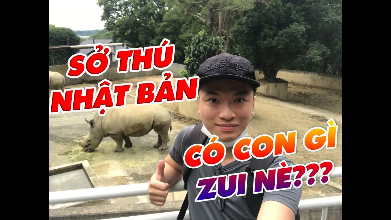 #6 Lần đầu đi sở th&uacute; của Nhật Bản - kinh ho&agrave;ng với lũ khỉ quậy ph&aacute; khắp nơi!!